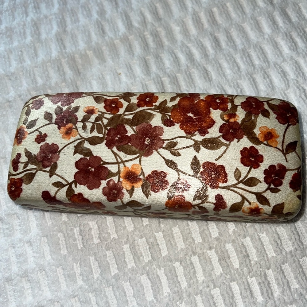 Eyes on Europe case for glasses